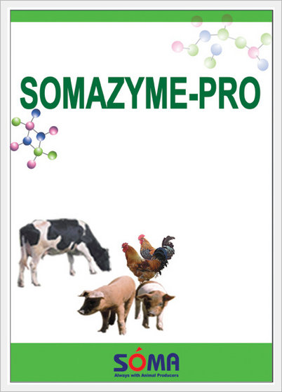 Somazyme-pro  Made in Korea